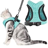 Arnés para exteriores a prueba de escapes: este cómodo arnés para mascotas pequeñas, la circunferencia del pecho es ajustable, lo que permite un ajuste perfecto para tu gato flexible y ambos lados tienen una hebilla de seguridad resistente, adecuado para caminar diariamente, correr, entrenar y cualquier recreación al aire libre.