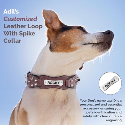 Image of Adil's Personalized Softy Leather Spiked Dog Collar- 1.5 Inch Wide Loop with Spikes Heavy Duty Soft Padded Neckbelt, Sturdy Buckle & D-Ring for Small, Medium & Large Dogs (Chestnut, S(12 inch-16 inch))