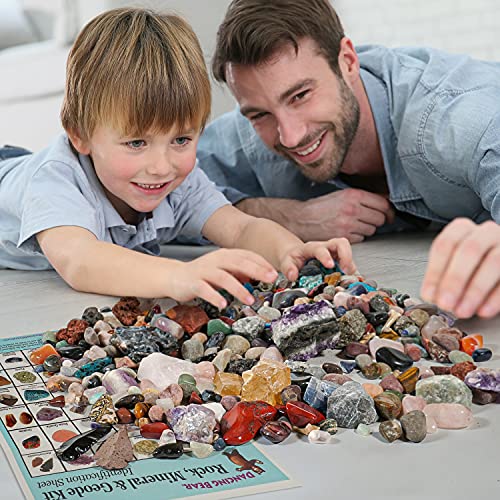 Dancing Bear Rock & Mineral Collection Activity Kit (200+Pcs) With Geodes, Shark Teeth Fossils, Arrowheads, Crystals, Gemstones For Kids, Rock Book, Treasure Hunt Id Sheet, Stem Education, Made In Usa #TOP6