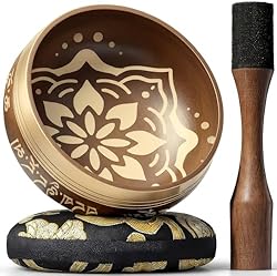 Handpan Premium D-Minor 10