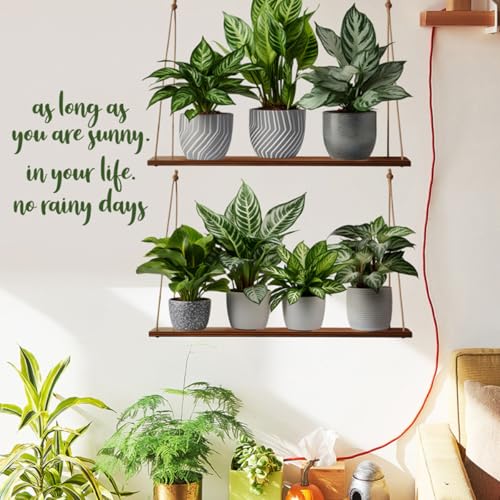 Vinilo Decorativo Pared Planta en Maceta 30x90 cm miniatura 7