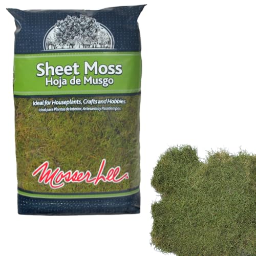 Mosser Lee ML0480 Natural Green Sheet Moss – 520 sq. in. – Organic Decorative Moss for Terrariums, Planters, Crafts & Moisture Retention