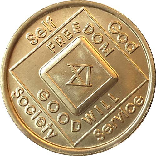 11 Year Na Medallion Official Narcotics Anonymous Chip Xi