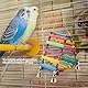 Vogelspielzeug Vogel Holz Leiter Wellensittich Nymphensittich Käfig Hängematte Schaukel Spielzeug Vogel Papagei Spielzeug Swing Hängenden Leiter Spielzeug