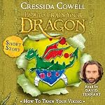 Cover of How to Train Your Viking by Toothless the Dragon