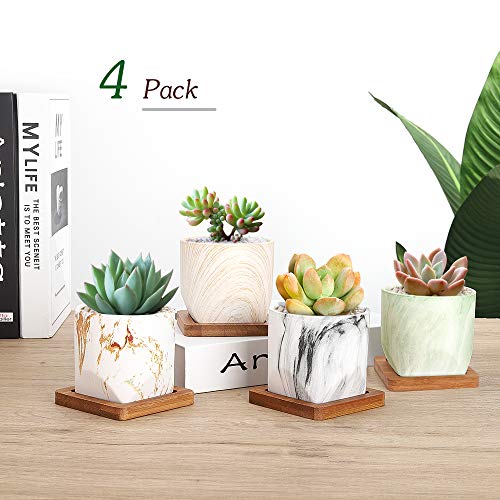 Luxspire 2.8 Inch Small Succulent Pots Set of 4, Mini Ceramic Porcelain Succulent Cactus Plant Pot Planter Container⦠- Afbeelding 5