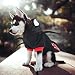 Idepet Mascota Perro Traje de araña de Halloween Gatos Disfraces Ropa para...