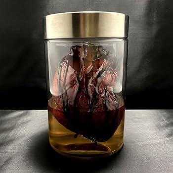 カエル　ホルマリン漬け　液体標本 Amazon.co.jp: ホルマリン漬け 心臓 臓器 内蔵 解剖 実験 研究 ホラー