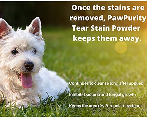 Tear Stain Remover Powder for Dogs & Cats โ 2 oz | Gently Treats The Cause of Staining | 100% Natural, Safe | Keeps Pet Eye Area Clean and Dry | The Trusted Choice for Pet Owners Tear Stain Remover Powder for Dogs & Cats โ 2 oz | Gently Treats The Cause of Staining | 100% Natural, Safe | Keeps Pet Eye Area Clean and Dry | The Trusted Choice for Pet Owners