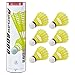 Wish Airflow 6000 Badminton Tournament Shuttlecocks – 6 Pack Tube of Durable Nylon Shuttlecocks with Cork Tips – Badminton Birdies for Indoor and Outdoor Play, Yellow