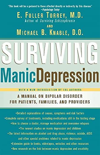 Surviving Manic Depression view 2