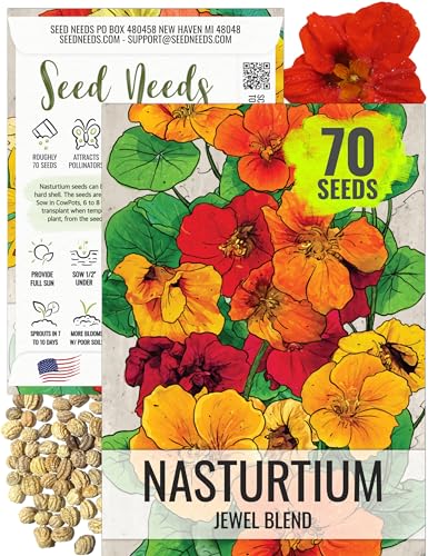 Seed Needs Nasturtium Seeds for Planting Jewel Blend - Heirloom