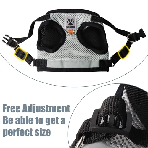 Bindokun Katzengeschirr mit Leine Ausbruchsicher, Katzen Geschirr Set Katzengeschirr Ausbruchsicher für Katze Hunde mit 5 m/16,4 Fuß Katzenleine Verstellbar Katzenweste (Grau, S)