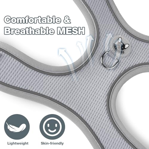 Feycig Hundegeschirr Kleine Hunde, Anti Zug Einstellbar Reflektierend Geschirr, Atmungsaktiv Weiches aus Mesh Geschirr Hund Leichtes Welpengeschirr Brustgeschirr mit Griff (Grau, X-Small)