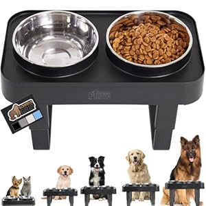 GORILLA GRIP Elevated Dog Bowls Stand, 6 Cup Stainless Steel Food Bowl Set of 2, 5 Height Adjustable Raised Feeding Station for Small Breed Puppy Dogs and Cats, Medium, Large Sized Pets Feeder, Black