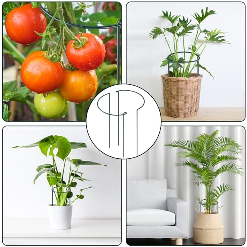 Gicare GICARE52 12 Pack Plant Support Stakes, Peony Cages And Supports Large 10 Inch Wide X 24 Inch High Tall Peony Ring Supports, Garden Plant Stakes For Outdoor Plants Rose thumb #6