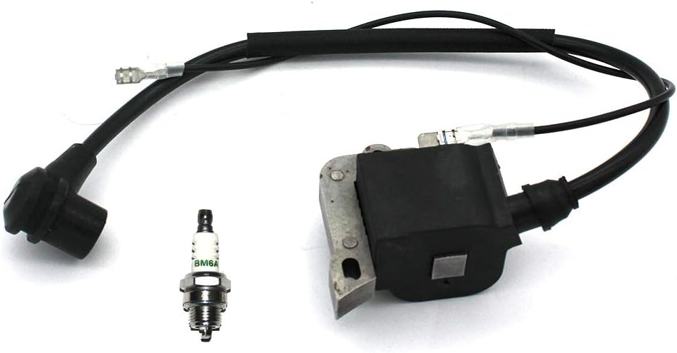 Close-up of the Ignition Coil Module