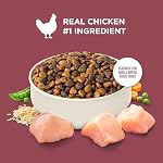 Nutrish Rachael Ray Dry Dog Food Small Breed Real Chicken & Veggies Recipe, 5 lb. Bag - Image 4