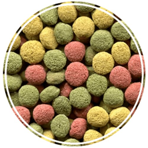 Alimento Alcon para Répteis Jabuti - 300g
