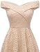 Homrain Vestido Cóctel Vintage A-línea Hi-Lo Elegante Encaje Fiesta Noche Vestido para...