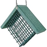 Audubon Going Green Suet Feeder Model  NAGGSUET