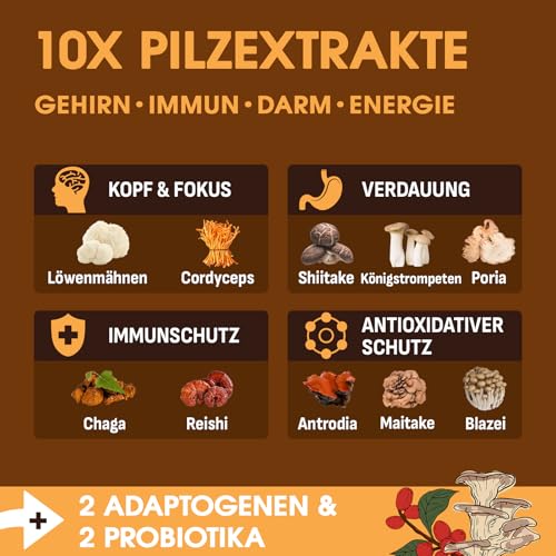 Pilzkaffee – Mushroom Coffee mit 10 Pilzen, Adaptogenen & Probiotika, Instant-Arabica-Kaffee mit Löwenmähne, Chaga, Reishi… – Ansicht 2