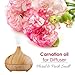 Salvia Carnation Oil Cosmetic Grade (500 ml / 16.9 fl oz) - Aromatic Floral Oil for Skin Hair & DIY Beauty Formulations