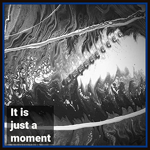 Page de couverture de It is Just a Moment