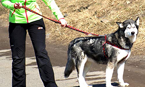 Dingo Winnetou Adjustable Dog Leash Handmade in Indian Style Howgh! Black 13562, 2 x 220 cm - Image 3
