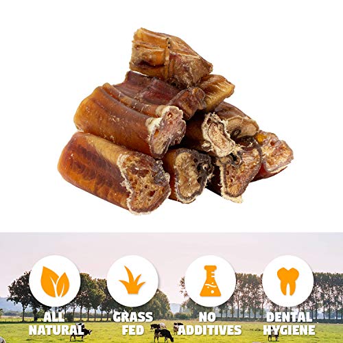 Downtown Pet Supply 0.5 LB Beef Bully Sticks - Rawhide Free, Long Lasting Dog Chews for Small Dogs and Puppies