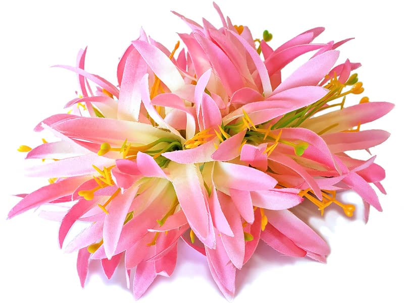 Amazon.co.jp: フラダンス ヘアクリップ スパイダーリリー 桜ピンク