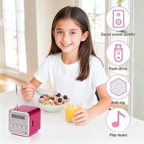 Mini Bluetooth Speaker, Portable Small FM Radio, Stereo MP3 Music Player, USB, Support TF Card, SD Card Player (Pink) - Image 2