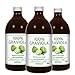3 x 100% GRAVIOLA Direkt-Saft -unfiltriert & vegan- (3 x 500ml), aus 100% Graviola Püree. Stachelannone, Soursop, Corossol, Guanabana. 100 ml günstig Kaufen-3 x 100% GRAVIOLA Direkt-Saft -unfiltriert & vegan- (3 x 500ml), aus 100% Graviola Püree. Stachelannone, Soursop, Corossol, Guanabana.