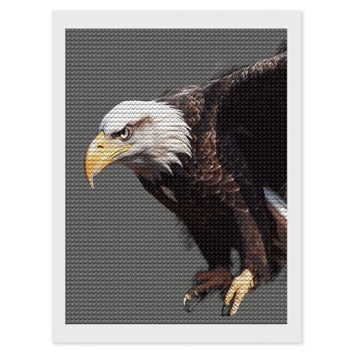 Kits de arte de diamantes de águila FekiLoot para adultos y principiantes con taladro completo