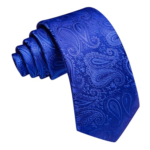 Image of Barry.Wang Paisley Tie for Men Silk Woven Necktie and Tie Clip Set Wedding Party Business Formal