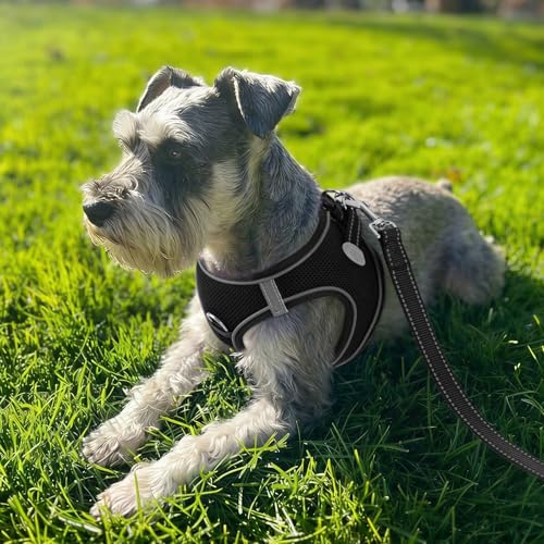 Joytale Hundegeschirr, Reflektierend Weich Gepolstert Hunde Geschirr, Air-Mesh Atmungsaktiv Brustgeschirr für Mittelgroße Hunde, XL, Schwarz
