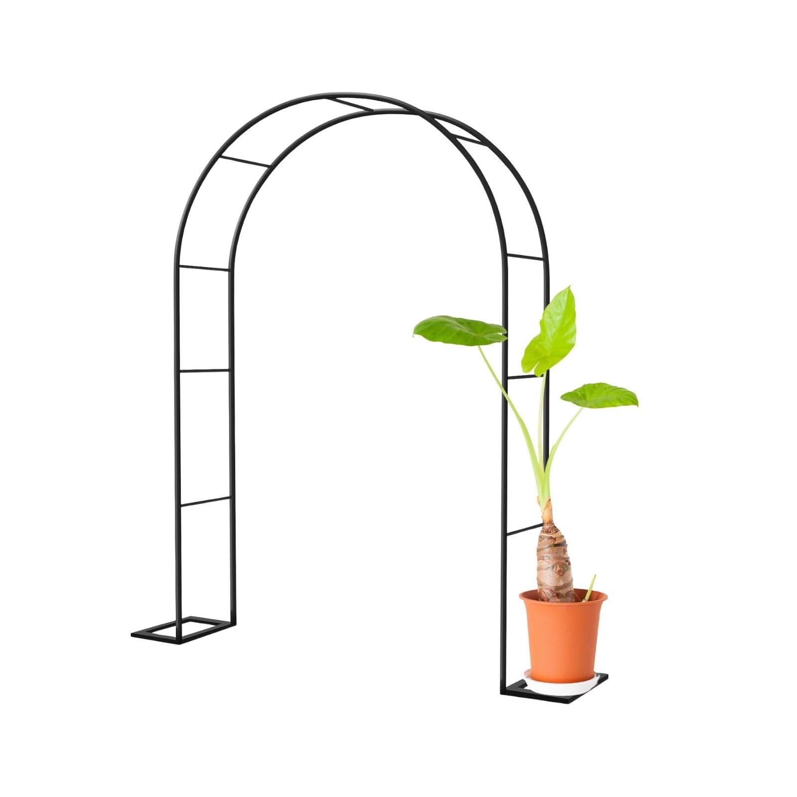 Arche de jardin en métal noir cadre de pergola 2,3m pour plantes