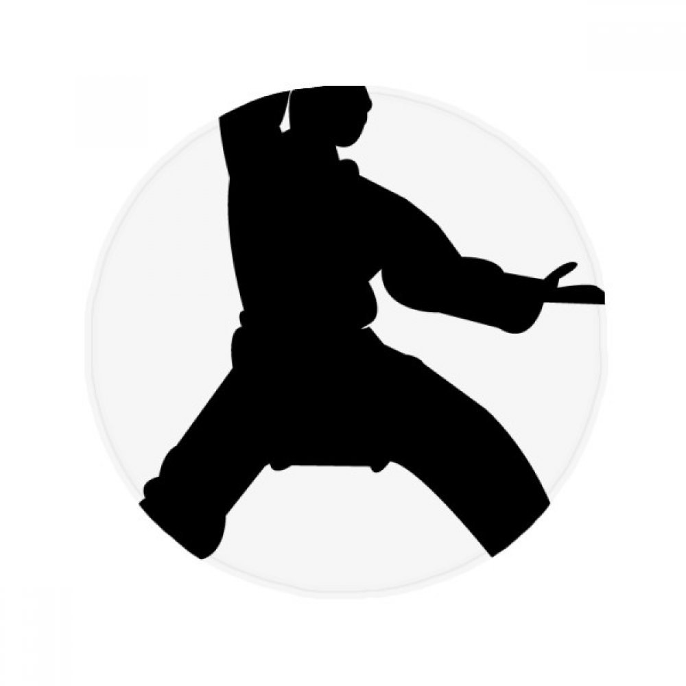 Tapis Shaolin Kung Fu multicolore crée un coin confort pour vos animaux