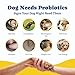 Probiotics for Dogs - Dog Probiotics for Digestive Health, Yeast, Itchy Skin, Gut Health, Immune & Skin - 6 Billion CFUs, 180 Soft Chews, Duck & Pear Flavor - with Prebiotics & Digestive Enzymes