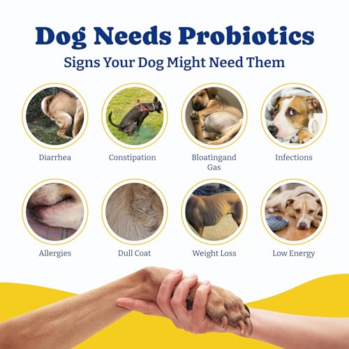 Image of Probiotics for Dogs - Dog Probiotics for Digestive Health, Yeast, Itchy Skin, Gut Health, Immune & Skin - 6 Billion CFUs, 180 Soft Chews, Duck & Pear Flavor - with Prebiotics & Digestive Enzymes