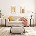 HOOBRO C Shaped End Table, Tempered Glass Snack Side Table with Metal Frame, TV Tray Table for Small Space, Sofa Couch and Bed, Modern Style, Black BK03SF01