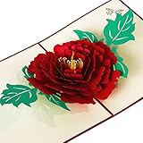 ✅** Fina en amor con diseño ajustable – nuestras tarjetas de felicitación Pop Up están talladas por una máquina de corte láser automático para asegurarse de que cada incisión es absolutamente suave y sin brillos, cada incisión hueca tallada es meticulosa y hermosa. Montado a mano por el experto trabajador para asegurar un perfecto modelo 3D pop.