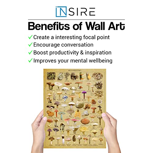 Vintage Mushroom Poster Mushroom Poster Mushroom Wall Art - Set Of 2 (11X14) Mushroom Posters Mushroom Prints Mushroom Pictures Wall Art, Mushroom Decor Mushroom Posters For Wall - Unframed #TOP3