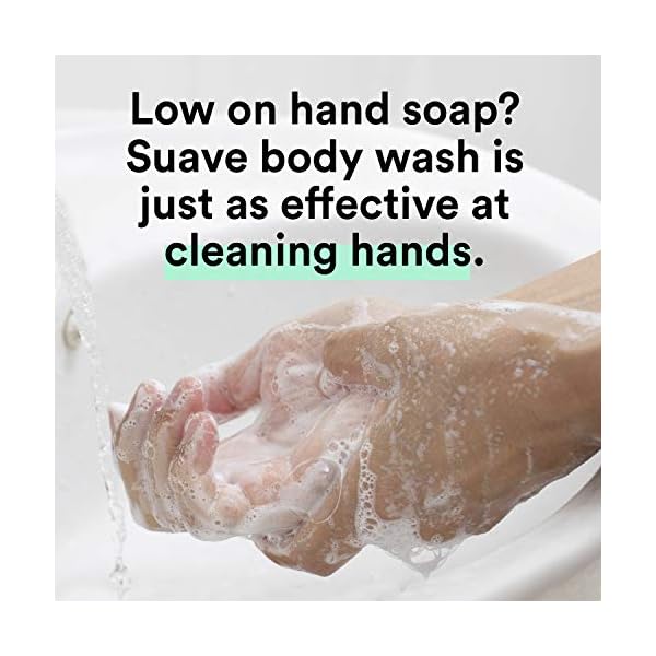 Suave Essentials Body Wash For Hydrated, Smooth Skin Ocean Breeze with Sea Algae Extract and Vitamin E 15 oz, Pack of 6