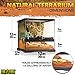 Exo Terra Glass Terrarium Kit, for Reptiles and Amphibians, Mini Wide, 12 x 12 x 12 Inches, PT2600A1
