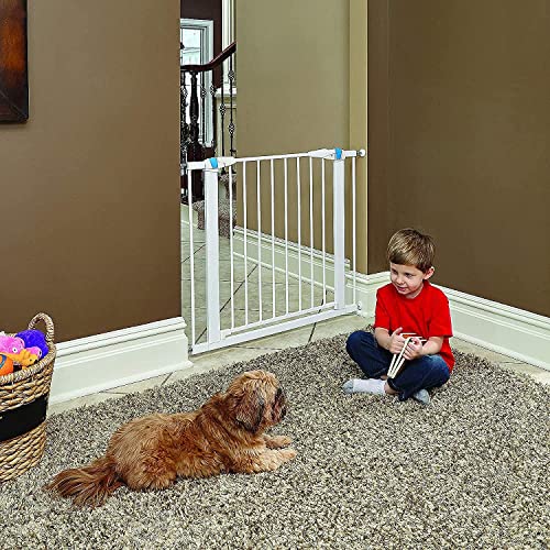 Midwest Homes For Pets Pet Gate | 29' High Walk-Thru Steel Pet Gate By 29' To 38' Wide In Soft White W/ Glow Frame, Medium #TOP7