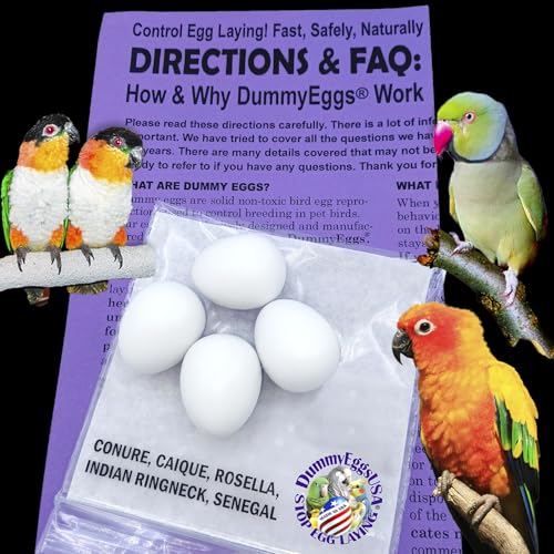 DummyEggs Stop Brooding Plastic Eggs