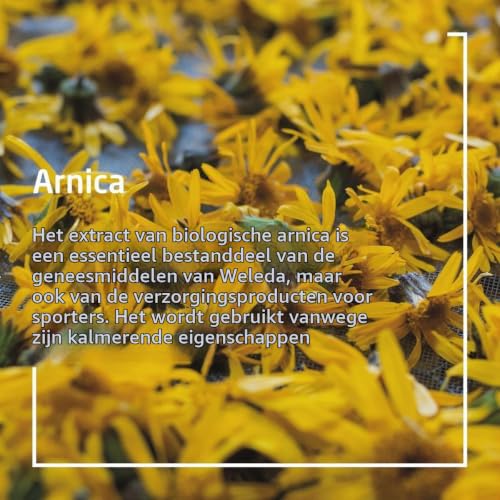Weleda Arnica Zalf – 25 g - View 2
