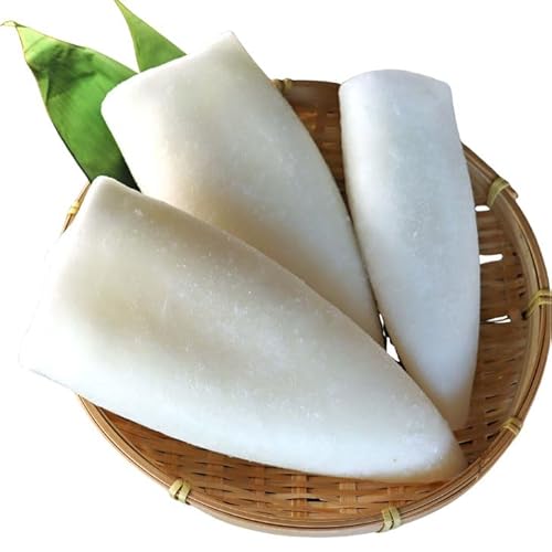 XJY SCJ tB 1kg  2`4 ⓀCJ b CJXe[L VՂ Ă o[xL[ CN ⓀCN  Mp Ɩp