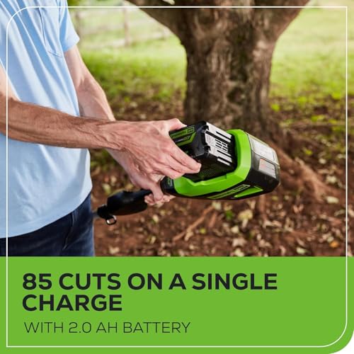 Image of Greenworks 60V 10 inch Brushless Cordless Pole Saw, 2.0Ah Battery, Charger + Bonus 4.0Ah Battery